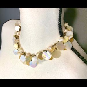 Coldwater Cheek Shell Long Strand Necklace